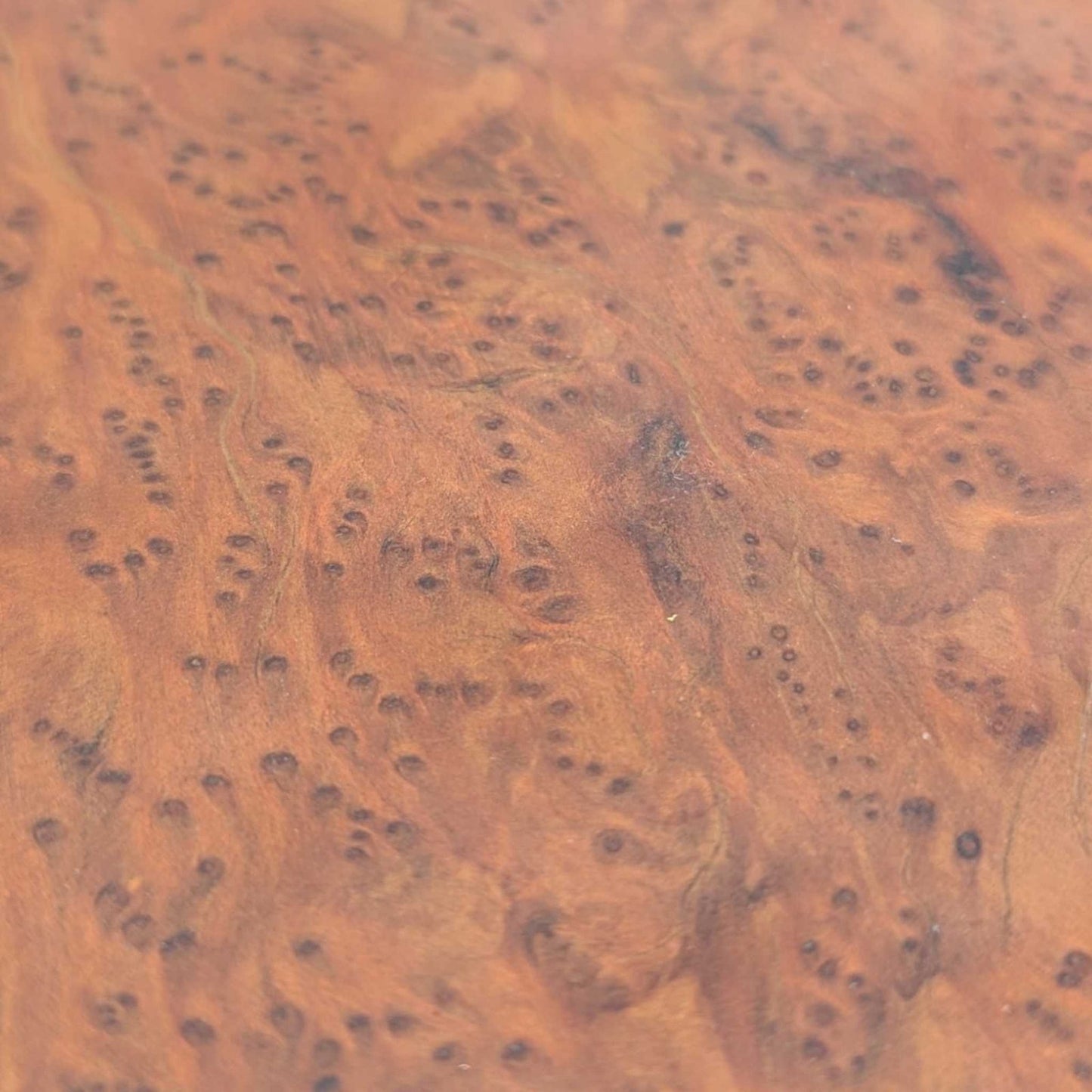 Live Edge Wood Coffee Table – Sculptural Natural Slab Table