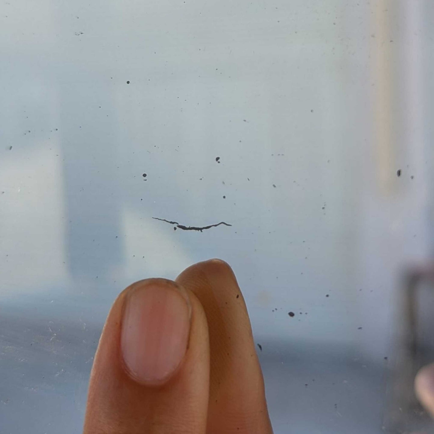 Early 20th Century Edwardian Demi-Lune Curved Glass Display Cabinet
