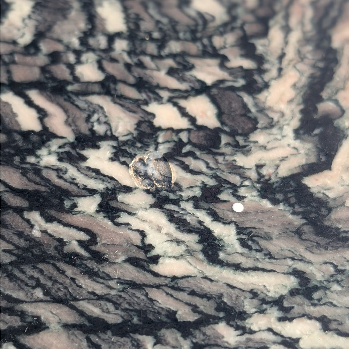 Italian Cipollino Ondulato Marble Pedestal Side Table — view 7 of 16