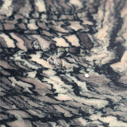 Italian Cipollino Ondulato Marble Pedestal Side Table
