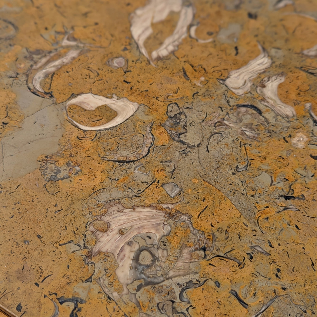 Tomlinson Sophisticate Model 315 Fossil Marble and Pecan Coffee Table, 1960s — view 22 [CBV1 XPt4TMj2MJm2ZocWWjEv 22 257ff0d1-a077-4e53-92d1-57303880245d.jpeg]